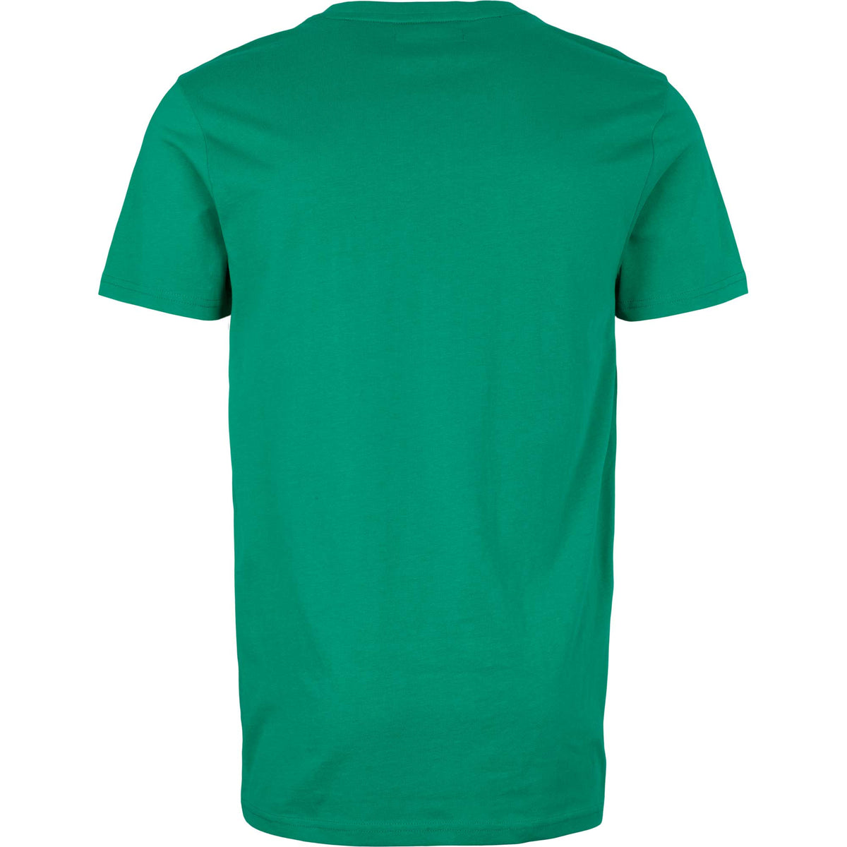 USPA T-Shirt V-Neck Cem Men - Golf Green