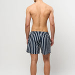 Slide billede