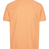 UMAlfred Polo